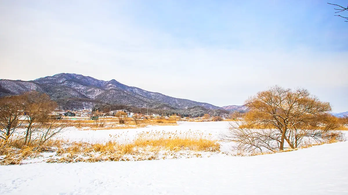 남양주 반려견 겨울 나들이 명소, 강아지와 함께 산책하기 좋은 곳 추천