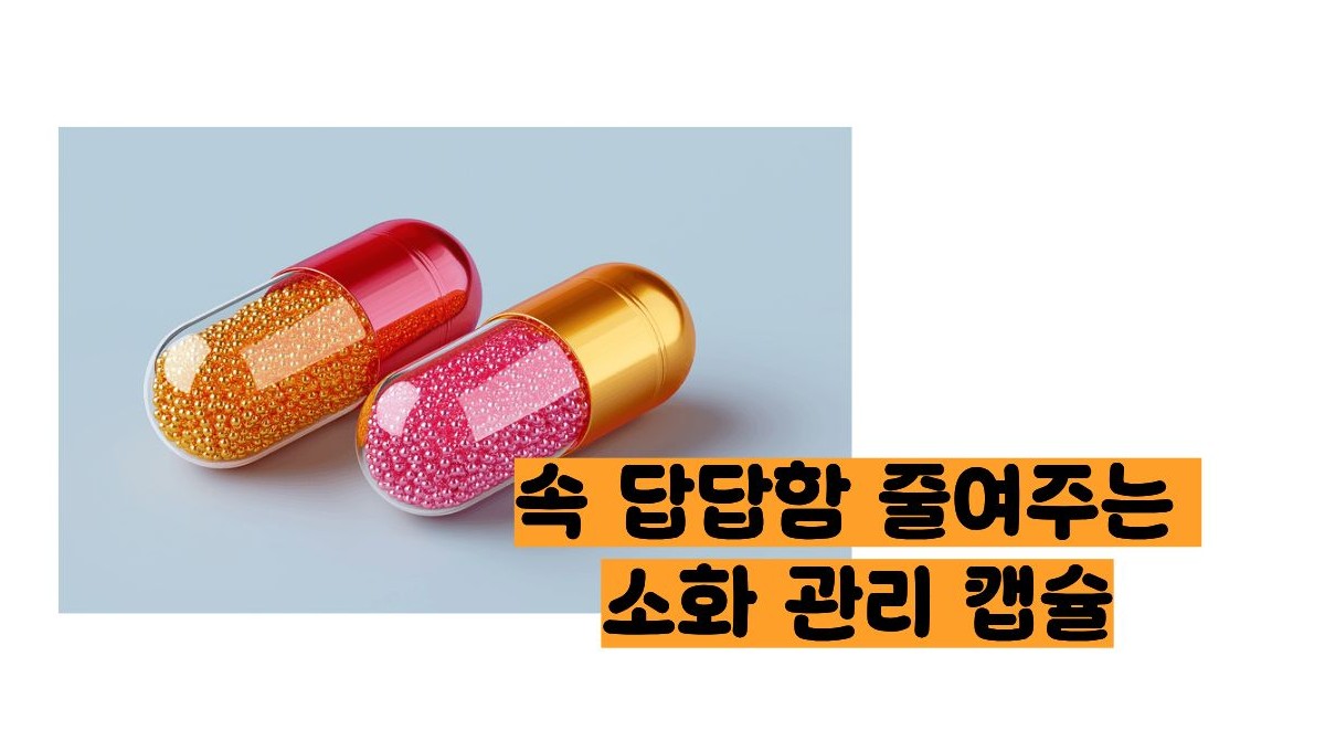 노자임 캡슐 효능