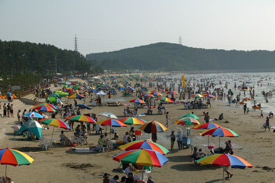 2025 춘장대 해수욕장 여름문화 개장식 &amp; 서면가요제 가이드