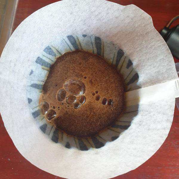 드리퍼 안 뜸 들이기 중_커피 파우더가 물을 흡수한 모습