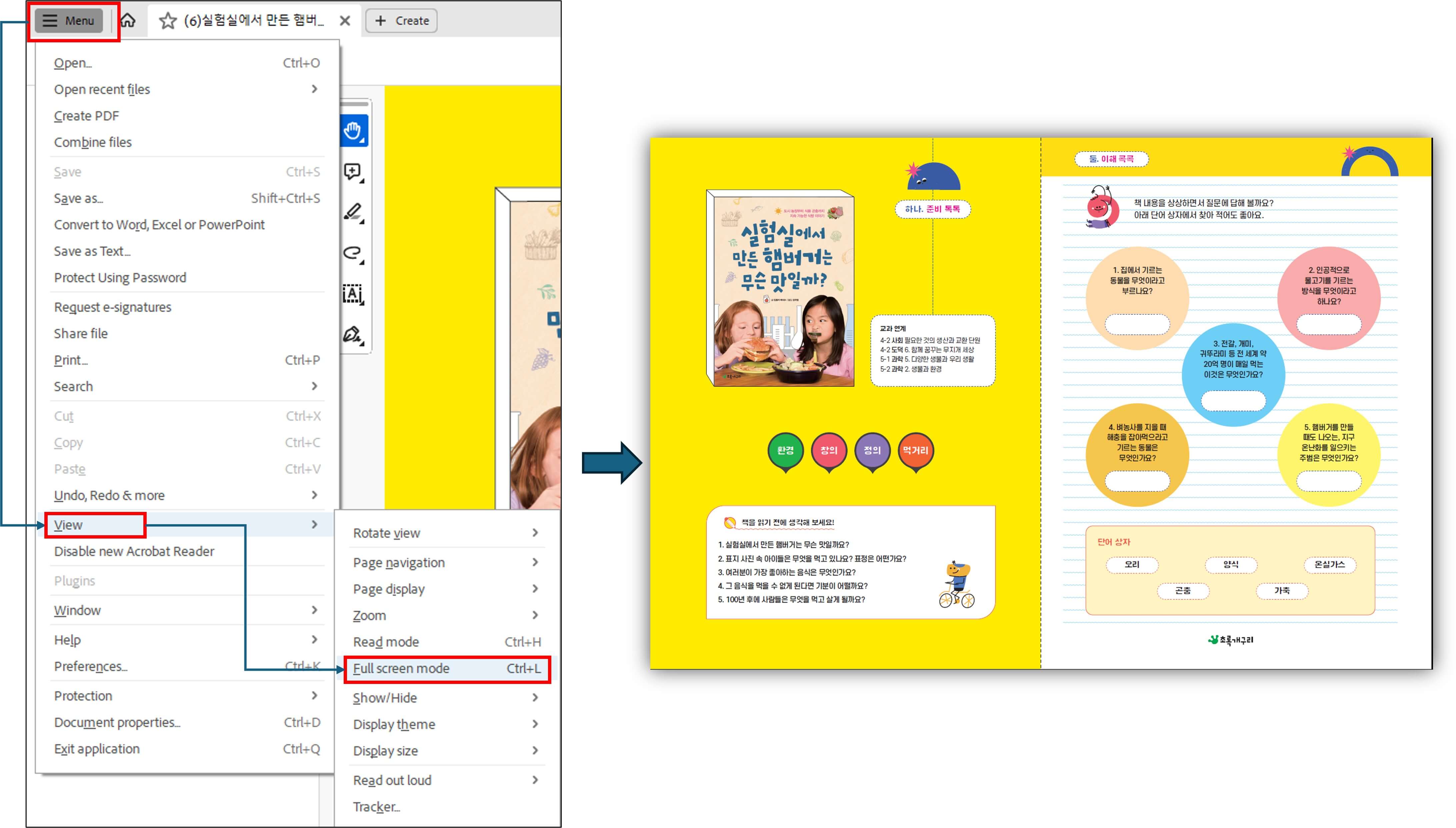 Adobe reader 전체 화면 두 페이지 보기 tip