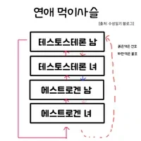 에겐남 테토남 테스트 인기비결