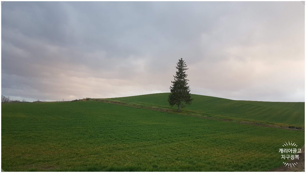삿포로 크리스마스