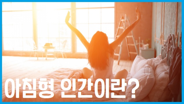 아침형 인간