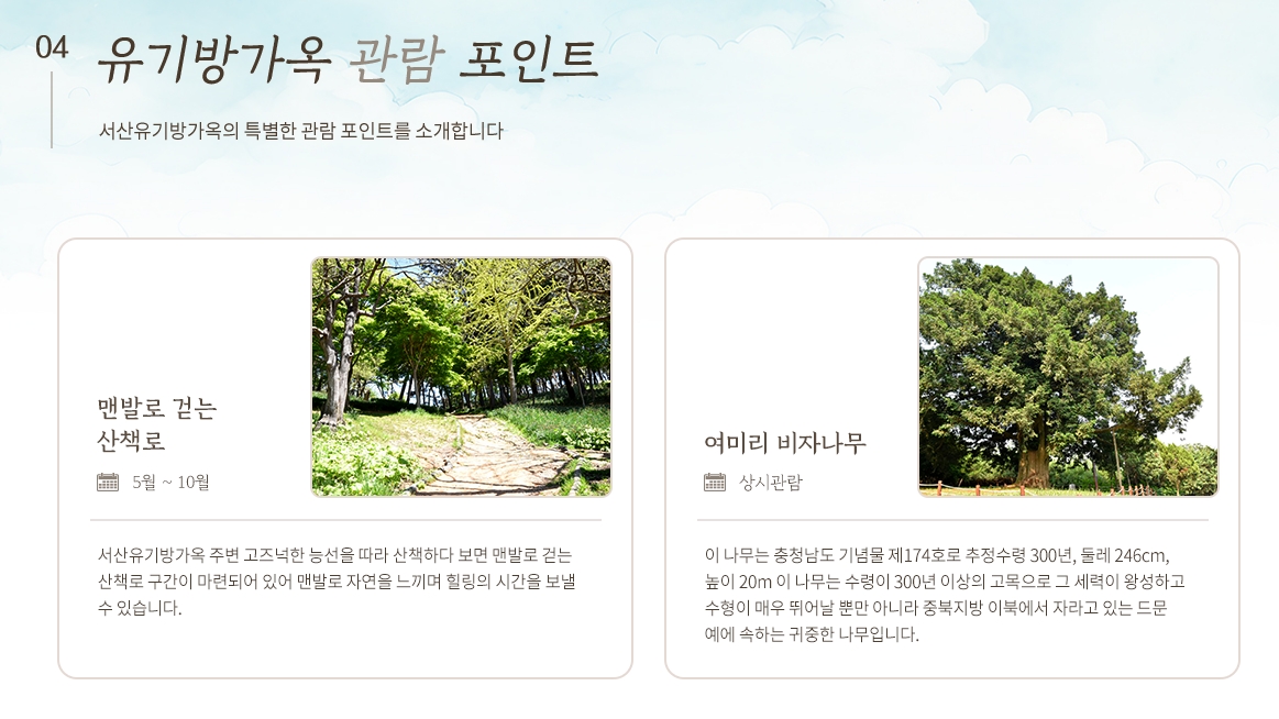 2025 벚꽃 개화시기 벗꽃개화시기 벚꽃개화지도 벗꽃개화지도 사진촬영꿀팁