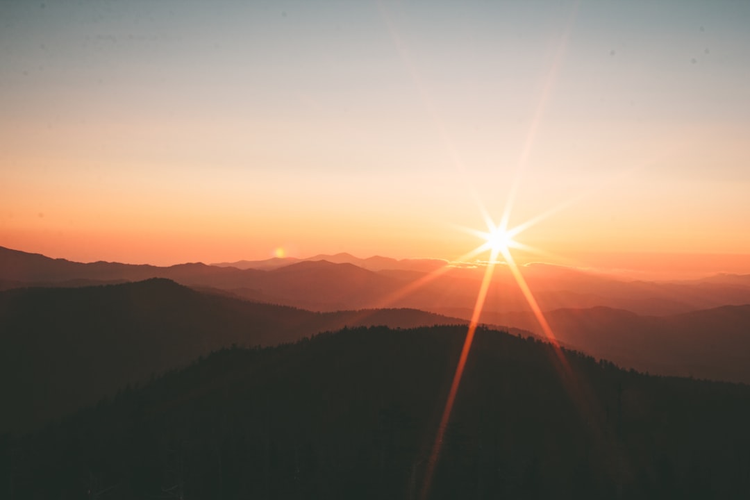 sunshine
