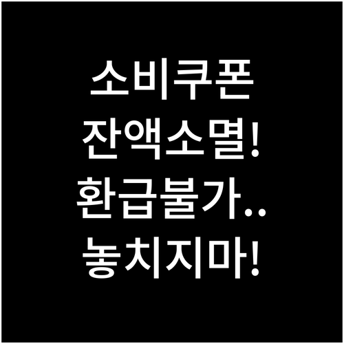 2차 민생회복 소비쿠폰 잔액 소멸, ..