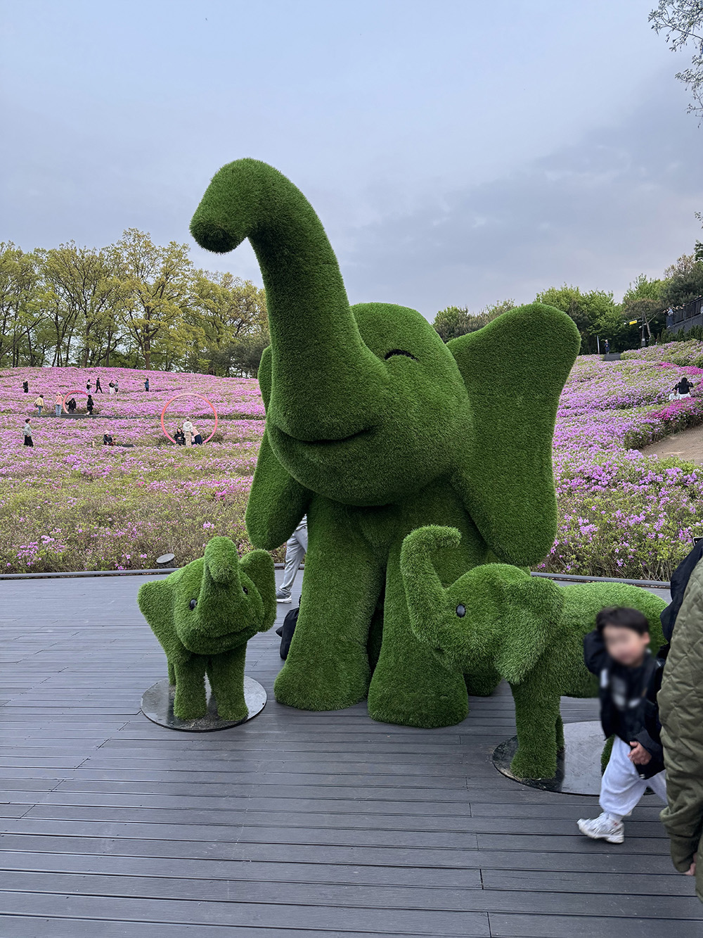 중계동 핫플레이스! 불암산 철쭉동산 주말 나들이 솔직 후기