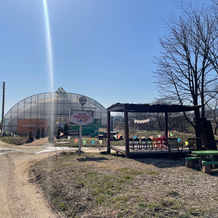 장성-하비스트랜드-2