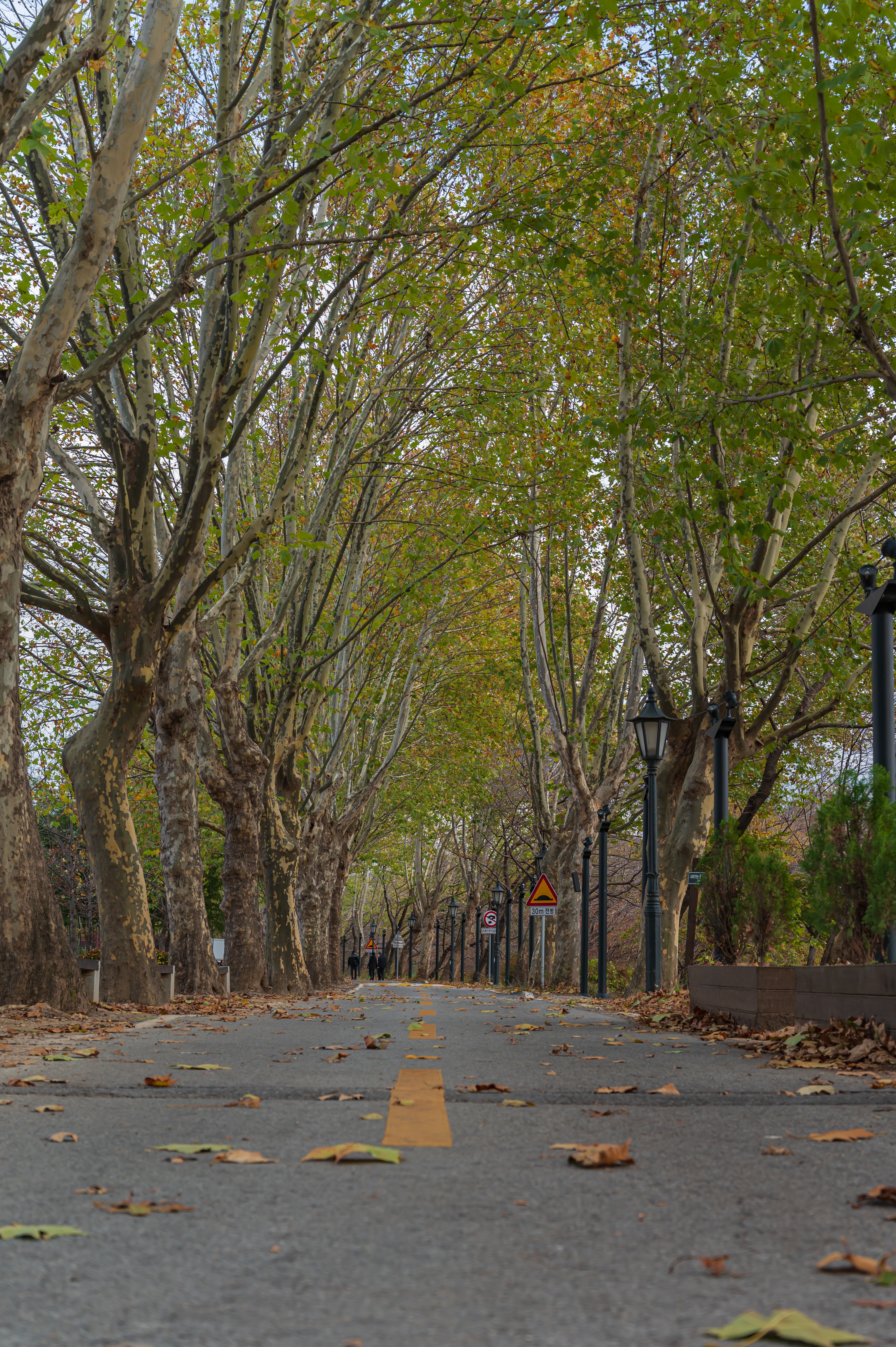 ๋ด์ ๊ด๋ฐฉ์ ๋ฆผ