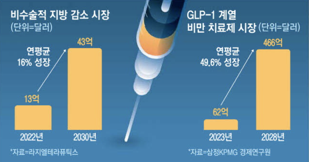 비수술적 지방 감소 시장 (출처 : 매일경제)
