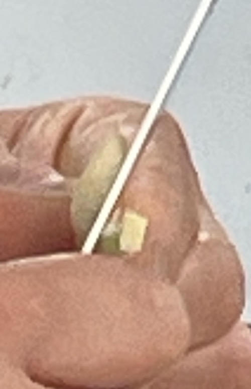 한식조리기능사 실기시험 준비 - 비빔밥 - 도라지 두께 가르기