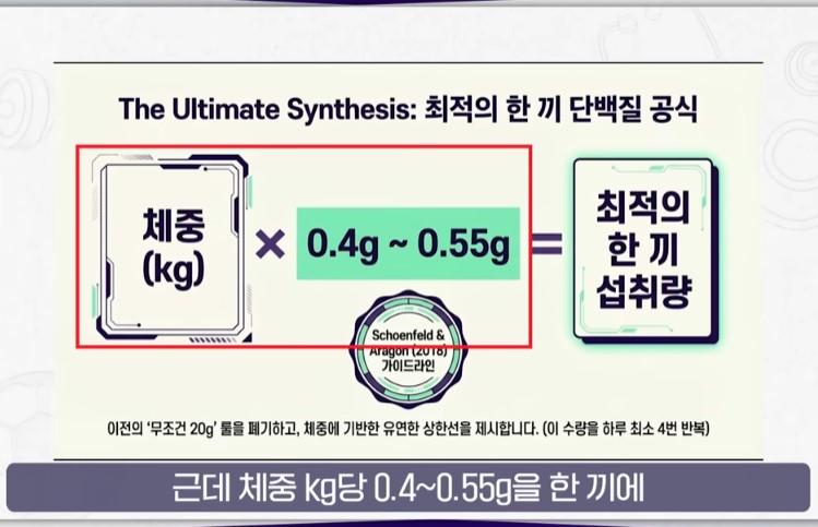 체중에 따른 단백질 공식