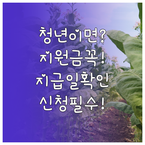 2026 김해시 청년월세 지원금 지급..