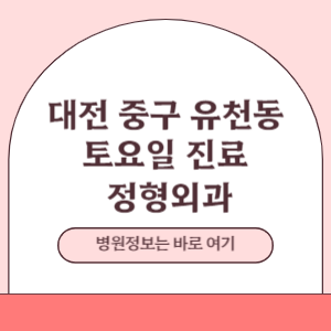 대전 중구 유천동 토요일 정형외과 진료 병원
