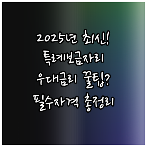 2025년 12월 특례보금자리론 대출..