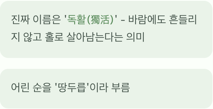 땅두릅? 독활? 이름부터 알고 가기