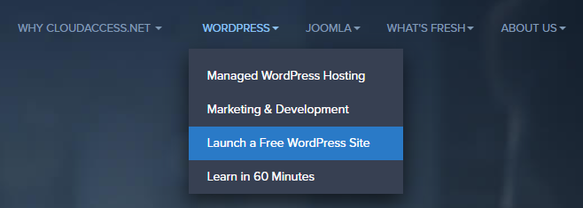 cloudaccess.net 홈페이지