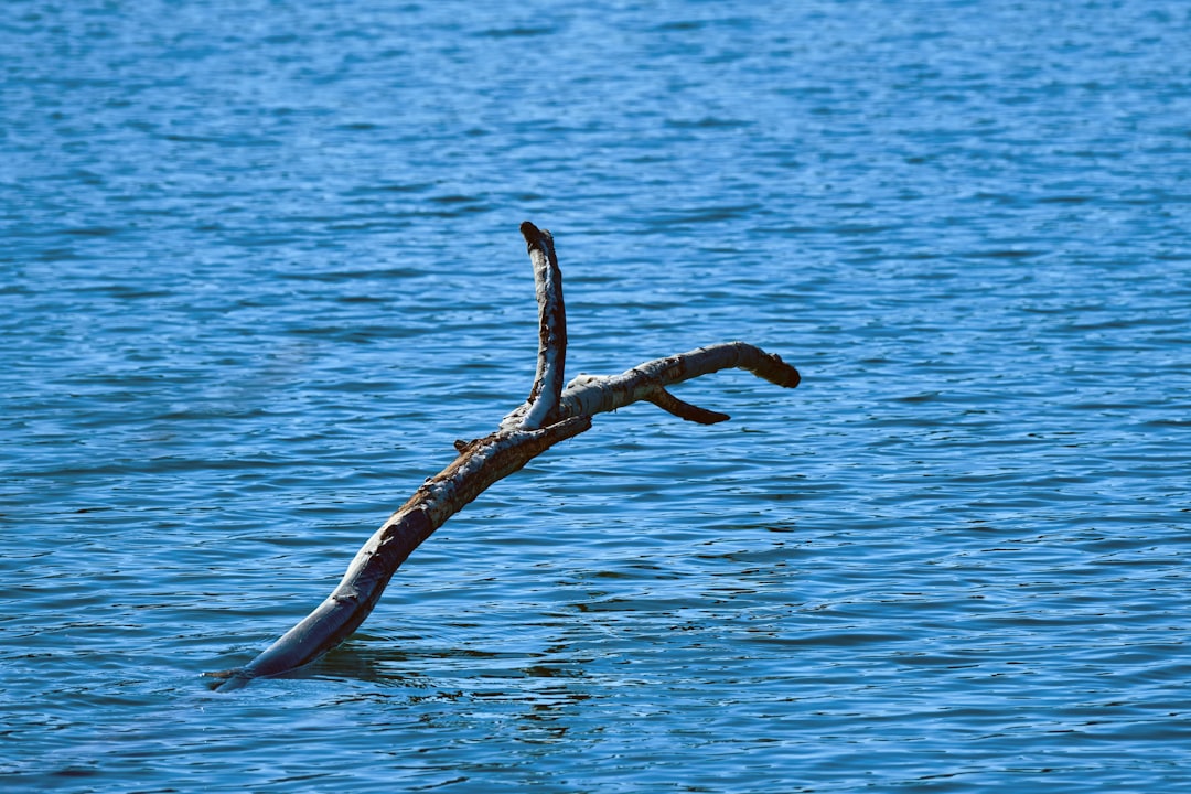 Tow hook