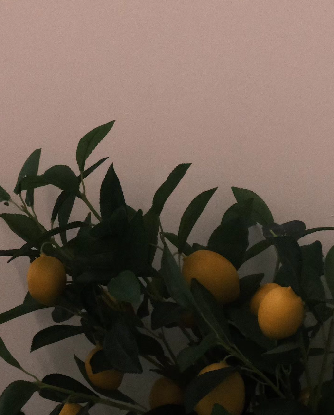 고민시 나이 본명 출연작 MBTI 인스타그램