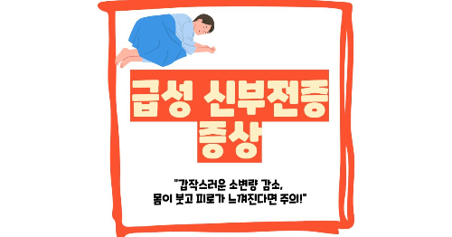 급성 신부전증 증상
