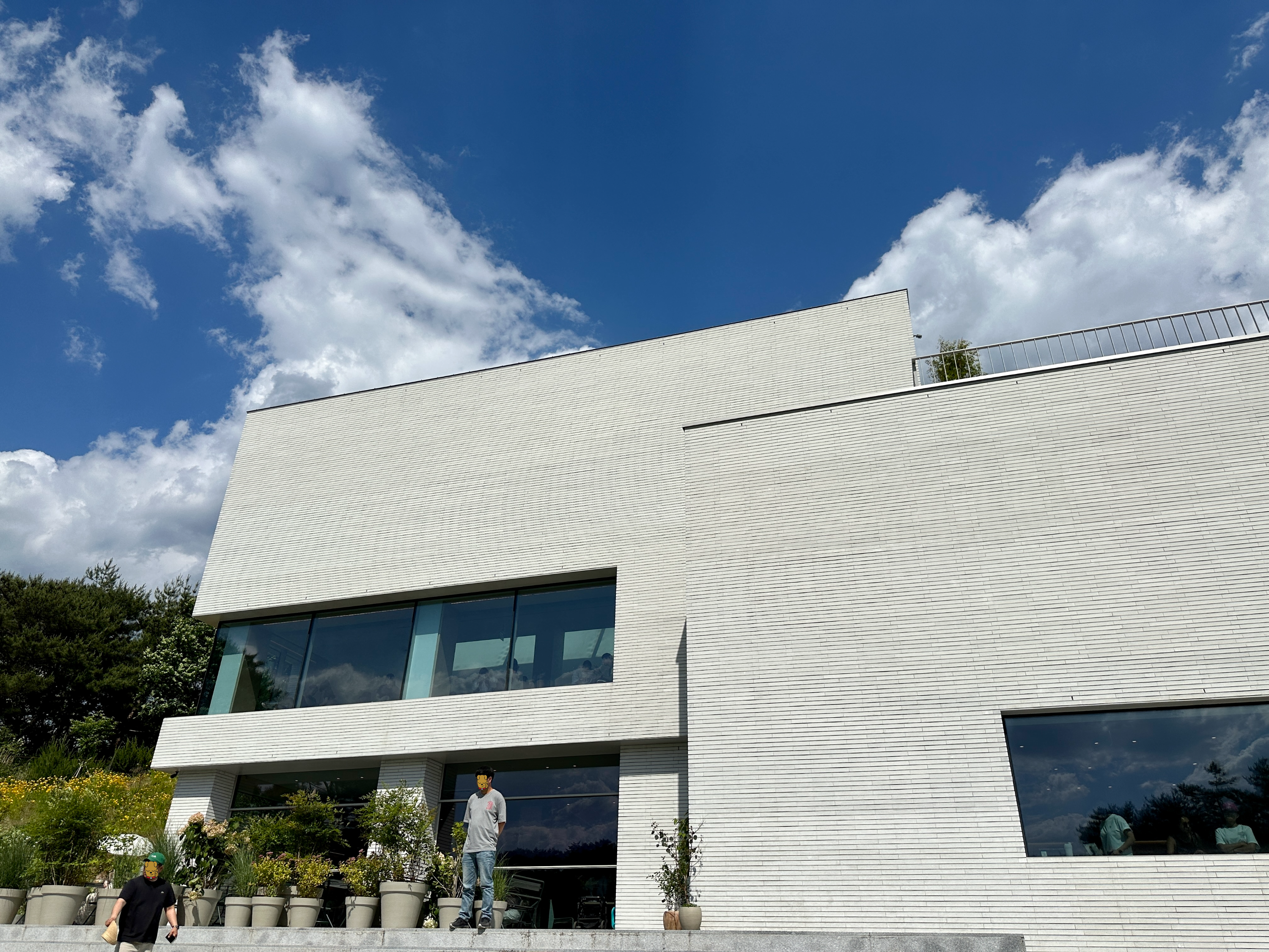 손흥민 카페 인필드