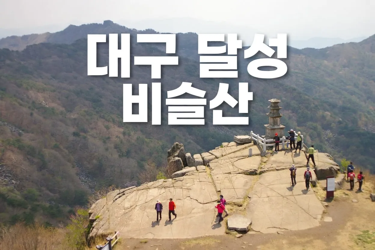 대구 달성 비슬산 참꽃 시간 교통 투어