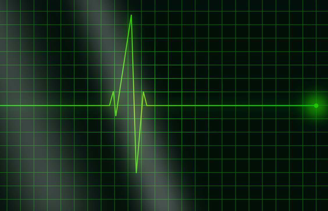 심장:하루도 수지 않는 생명의 엔진