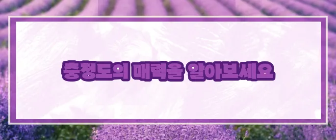 충청도 가볼만한곳 베스트10 2025 (+핵심포인트)
