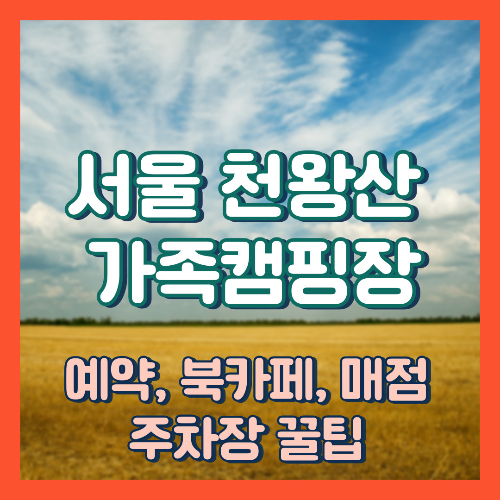 서울 천왕산 가족 캠핑장 예약, 북카페, 지도, 위치, 주차장 꿀팁