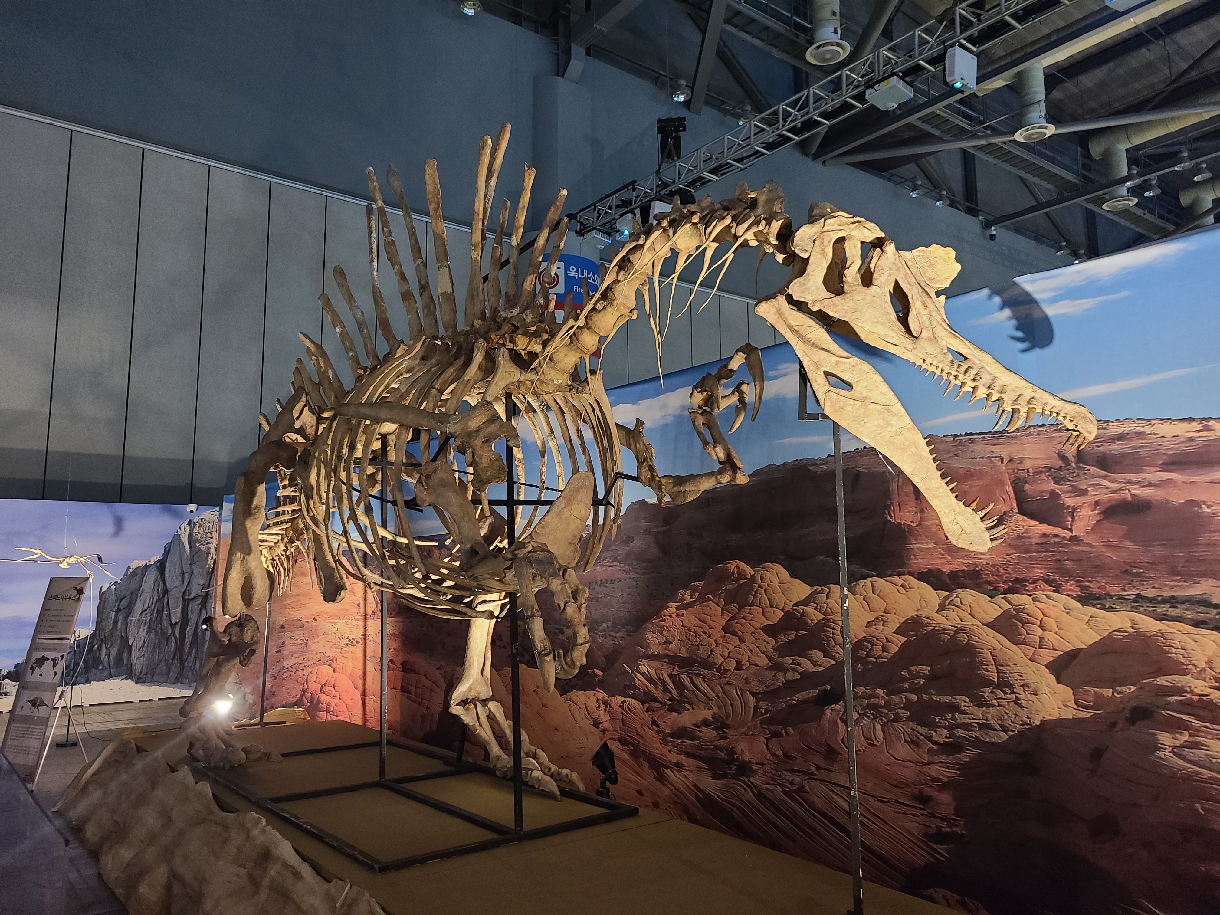 2023 찾아가는 공룡엑스포 in 일산 스피노 화석