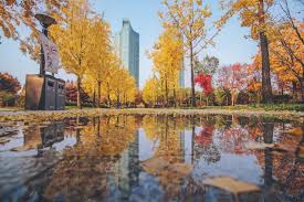 서울 가을단풍 명소 베스트 가을여행 추천