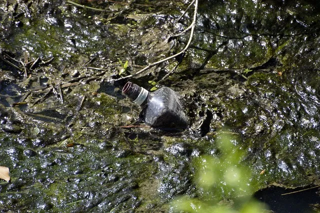 들렀다 들렸다 헷갈리는 맞춤법 올바른 사용 표기 완벽 정리_5