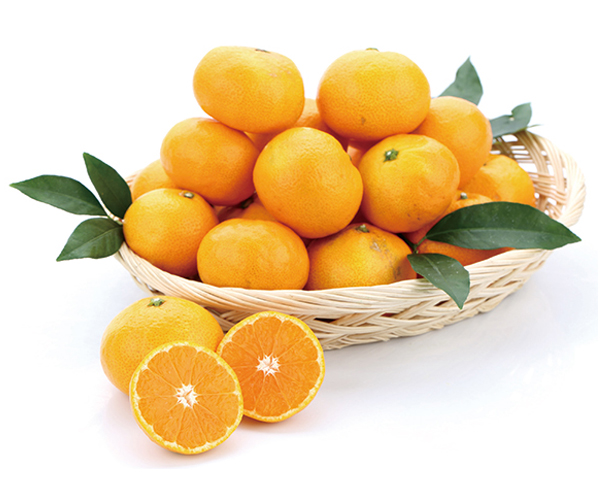 바구니에 담긴 귤