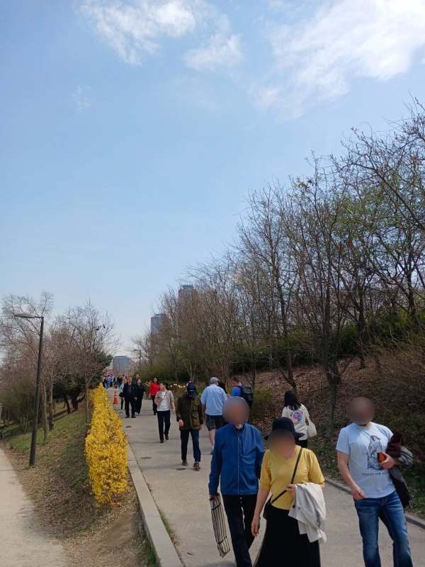 행사장에서 올라가는 길