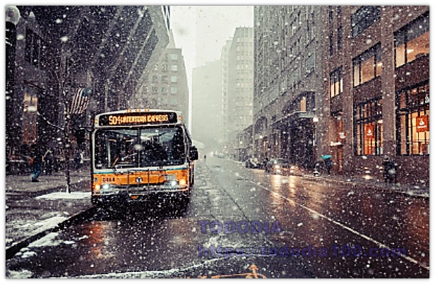 버스 다인승 환승방법