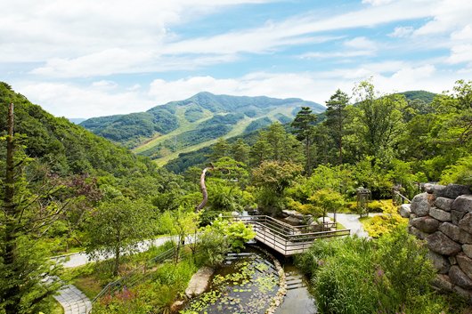 온누리상품권 카드 완벽 사용법