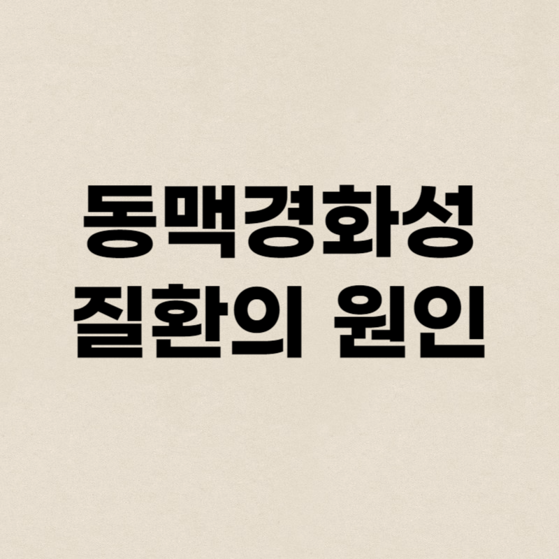 동맥경화성 질환의 원인