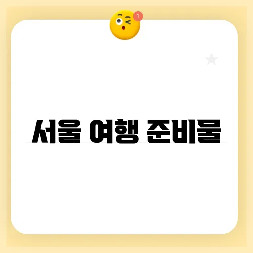 서울 여행 준비물