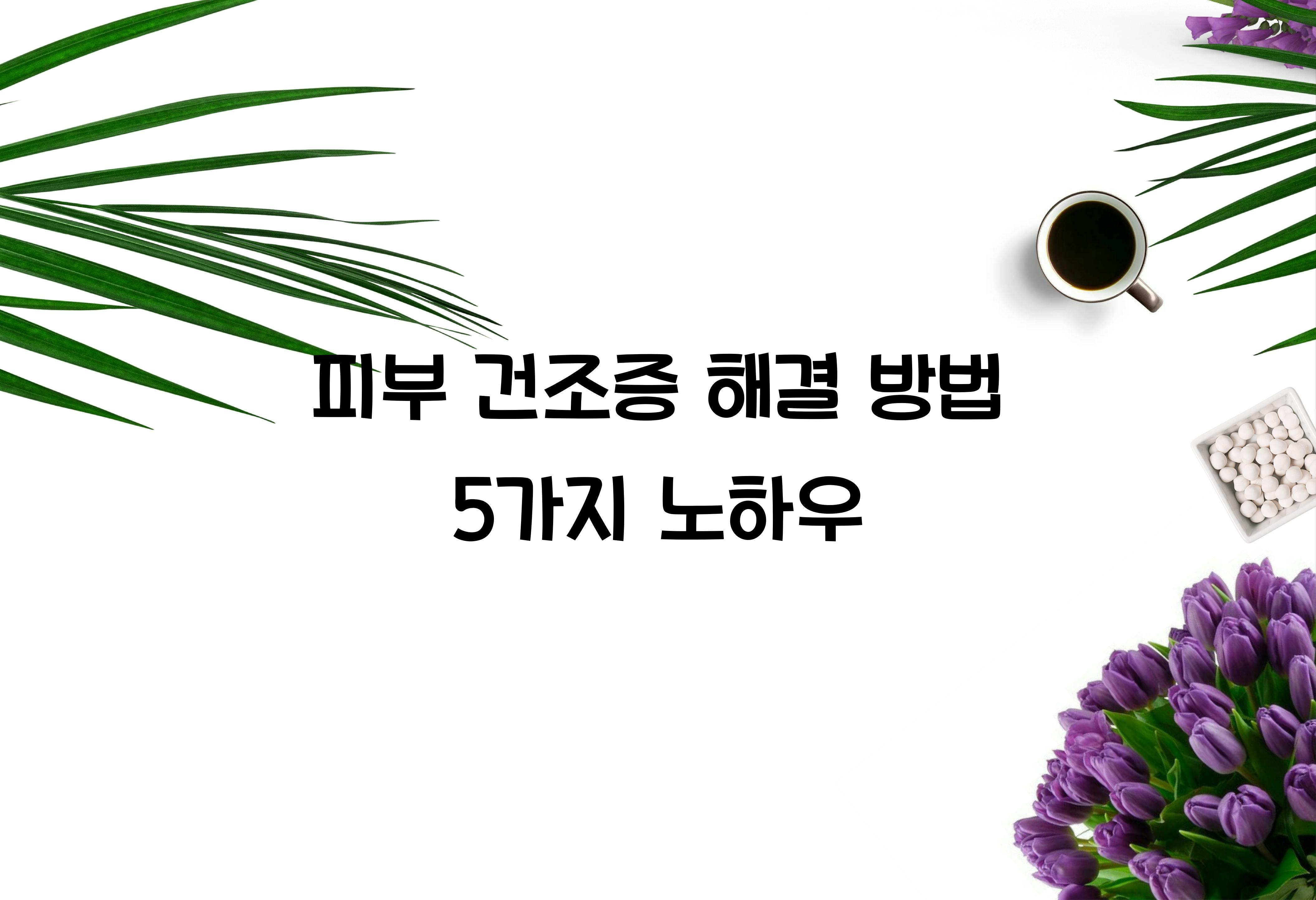 피부 건조증 해결 방법