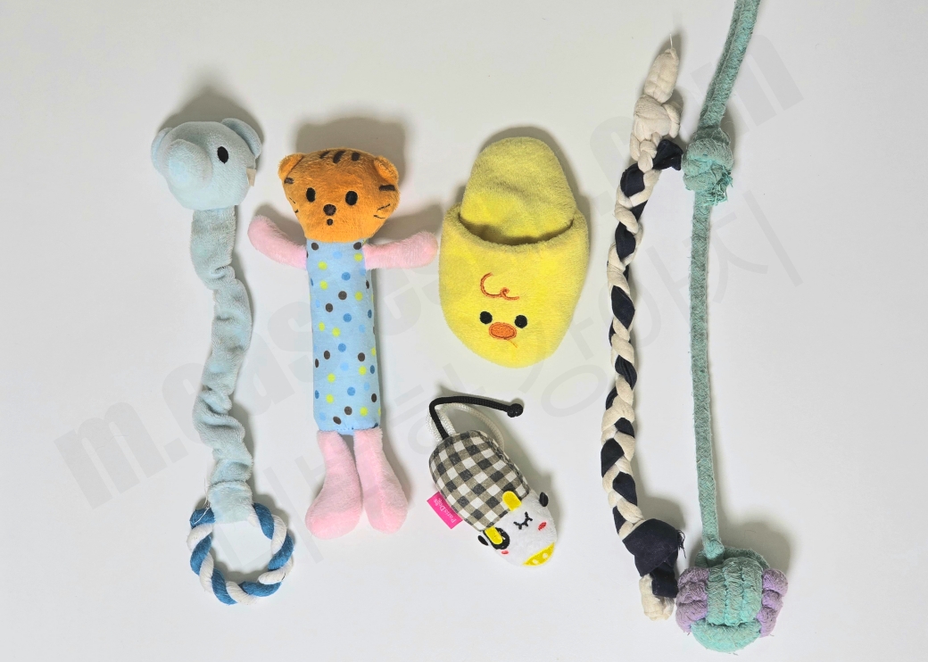 다양한 종류의 터그 놀이 장난감