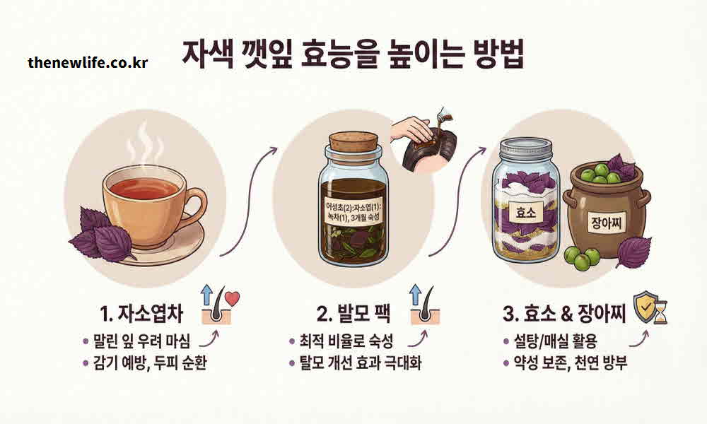 자소엽 효능 높이는 활용법
