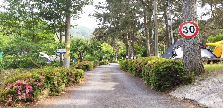 경남 창원휴양림 오토캠핑장 소개