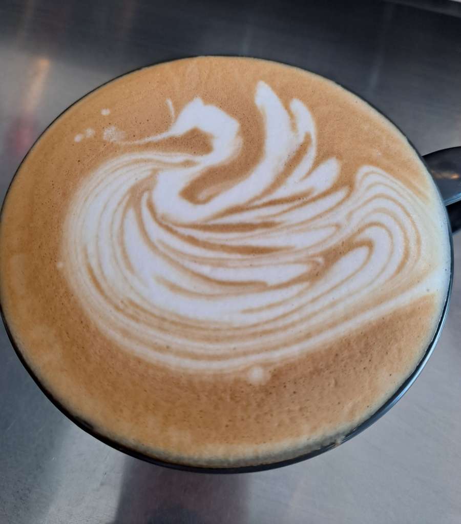 라떼아트 백조스완