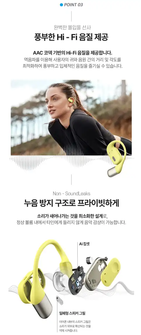 블라우풍트 무선 이어폰 - 찐 후기 (장단점 다 알려 드림!!!) - 100주년 에디션의 특별함