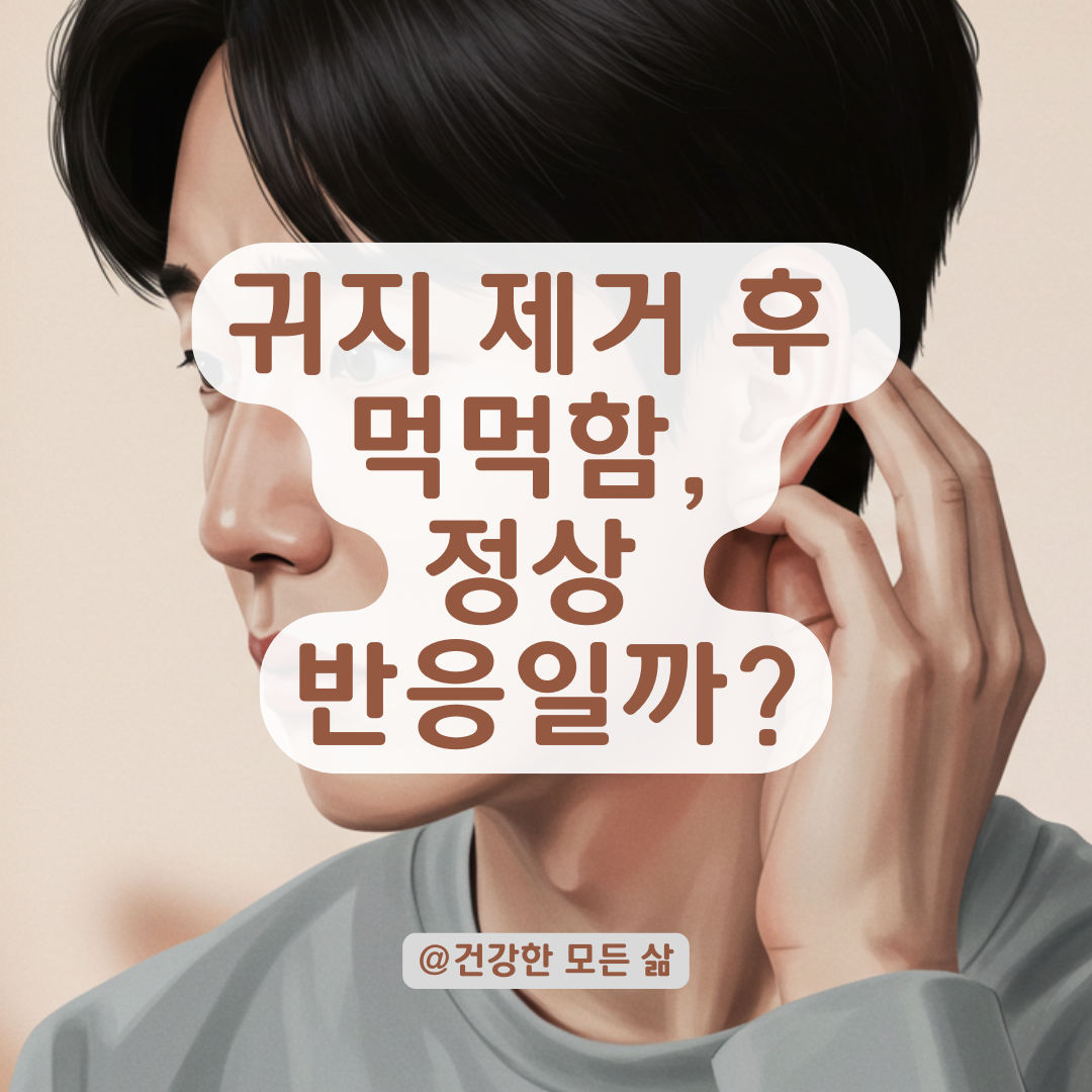 귀지 녹이는 약 사용 후 귀가 먹먹하다면? 정상 반응과 주의사항 정리.