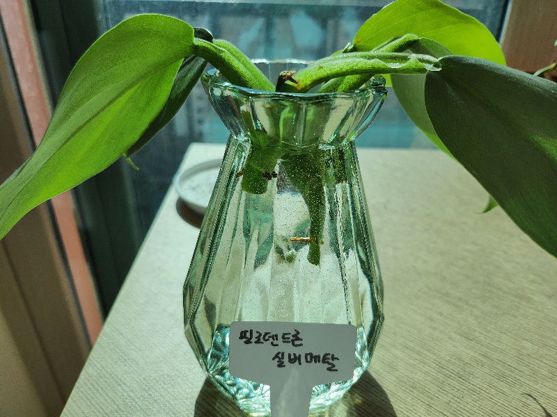 실버메탈 물꽂이