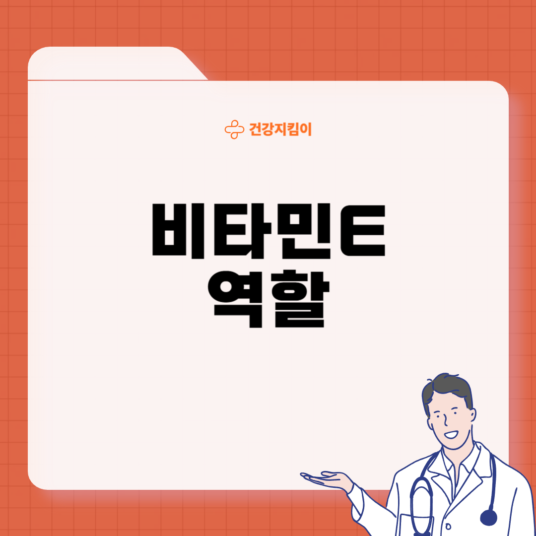 비타민E가 많은 음식