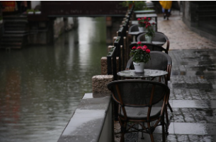 비 오는 날의 냄새, 페트리코르의 비밀