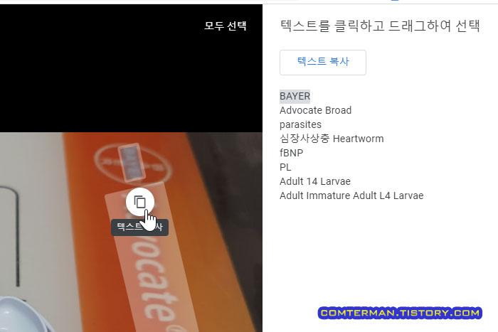 구글 포토 OCR 개별 선택